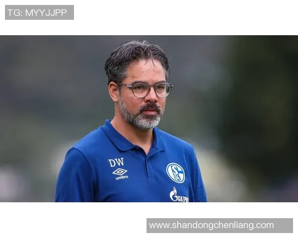 沙尔克04重磅炒帅!主教练下课,球队重振雄风待解 沙尔克04重磅炒帅!主教练下课,球队重振雄风待解