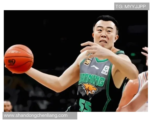 韩德君:从篮球场上的巨人到新时代体育精神的传承者 韩德君:从篮球场上的巨人到新时代体育精神的传承者