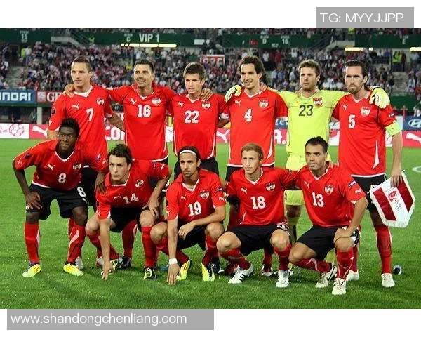 斯洛文尼亚与马其顿比赛结果分析及比分预测展望