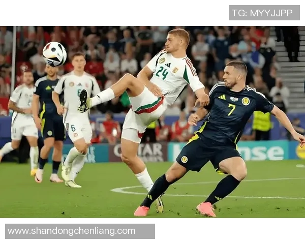 匈牙利与比利时精彩对决集锦回顾足球盛宴瞬间 匈牙利与比利时精彩对决集锦回顾足球盛宴瞬间