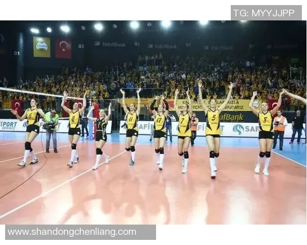 新城堡联迎战中央海岸力争主场胜利展现球队实力与斗志 新城堡联迎战中央海岸力争主场胜利展现球队实力与斗志