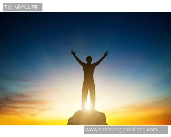 刘铮的奋斗历程与成就探索：从平凡到卓越的精彩人生之路