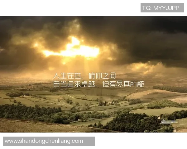 罗凯文的成长之路与成功秘诀探秘：从平凡到卓越的励志故事