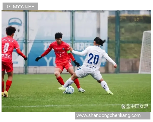 山东与辽宁足球对决直播盛况回顾及精彩瞬间分析